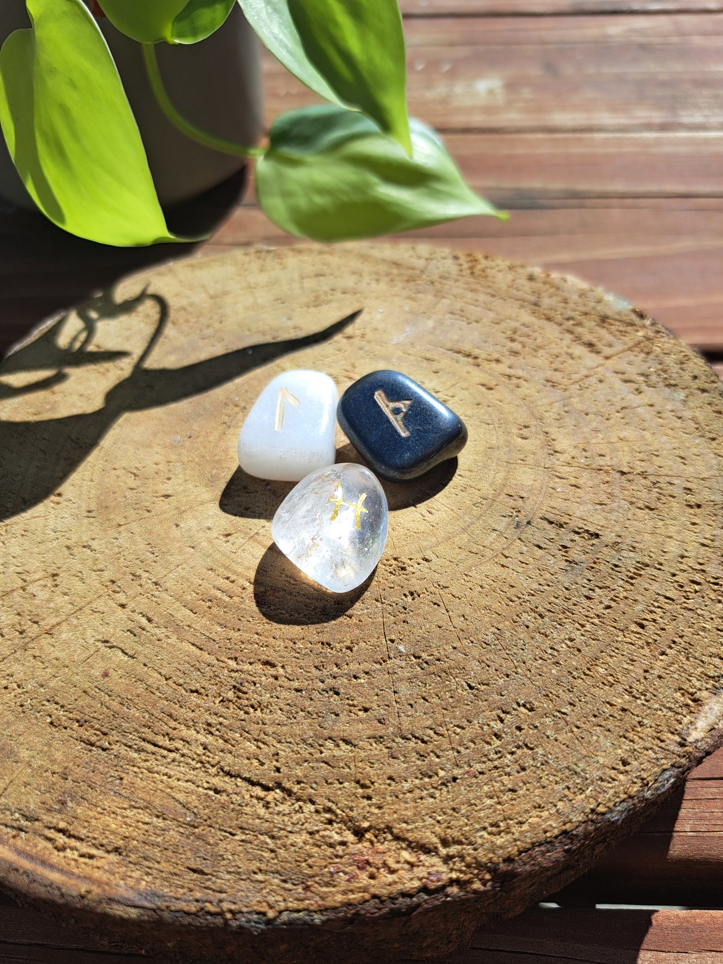 Tumble bundle - rune