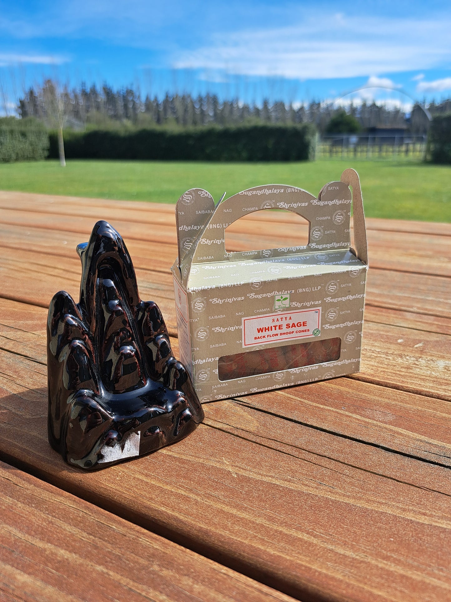 Backflow burner bundle