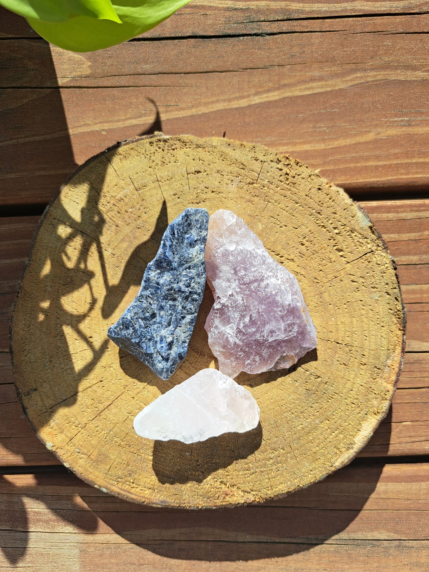 Medium Raw bundle