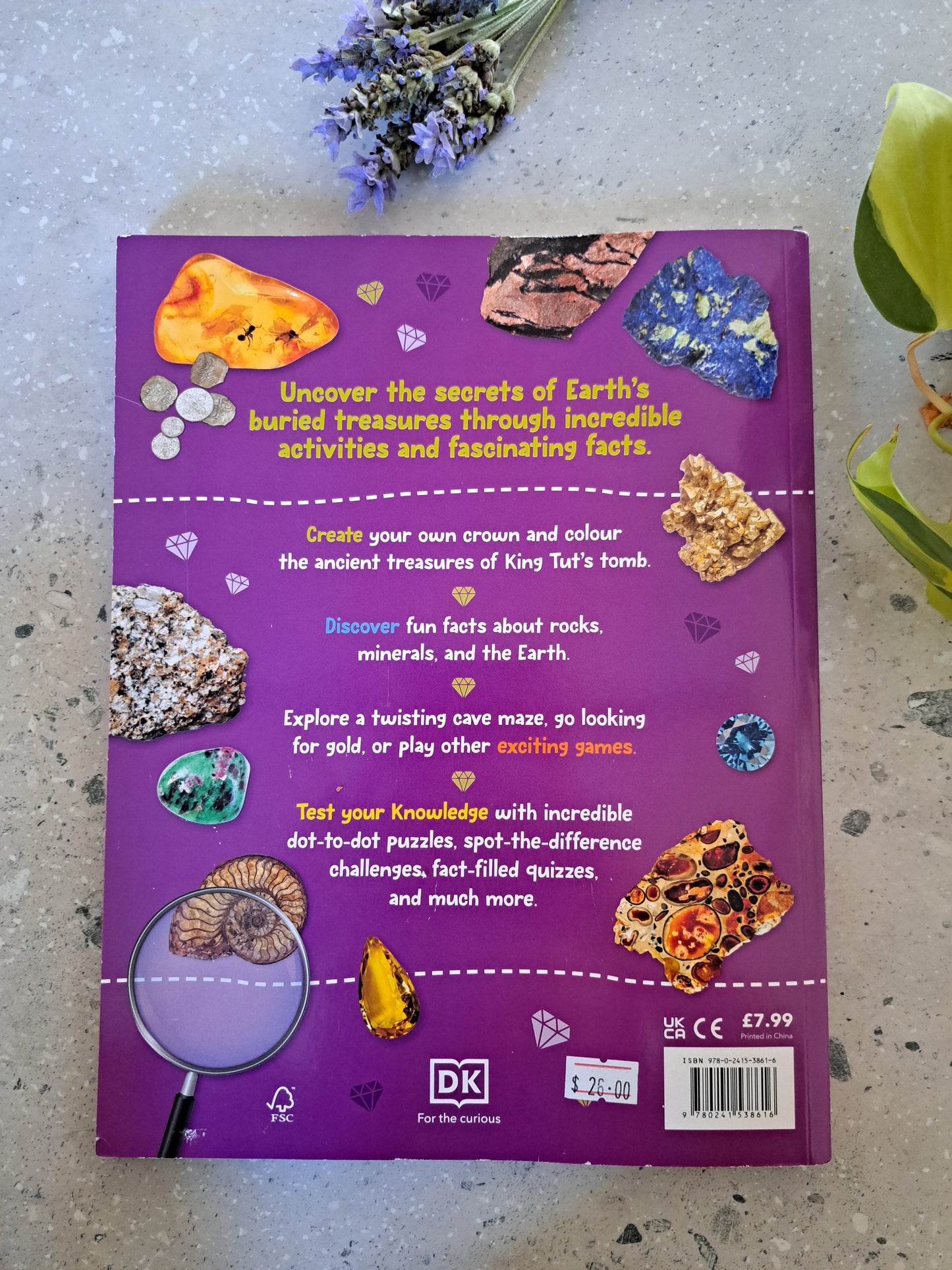 Rocks and Minerals - Activity Book