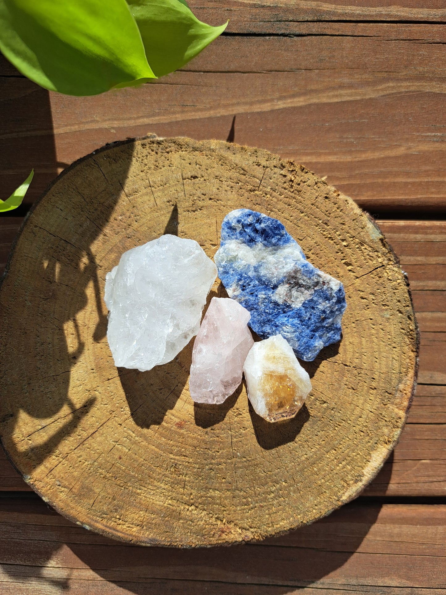 Medium Raw bundle