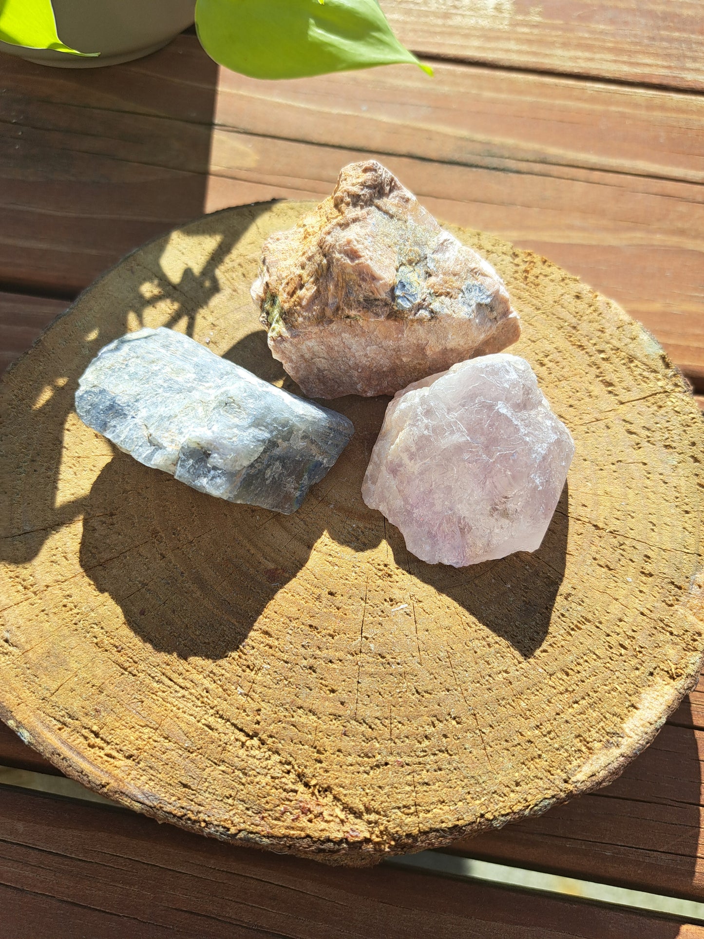 Medium Raw bundle
