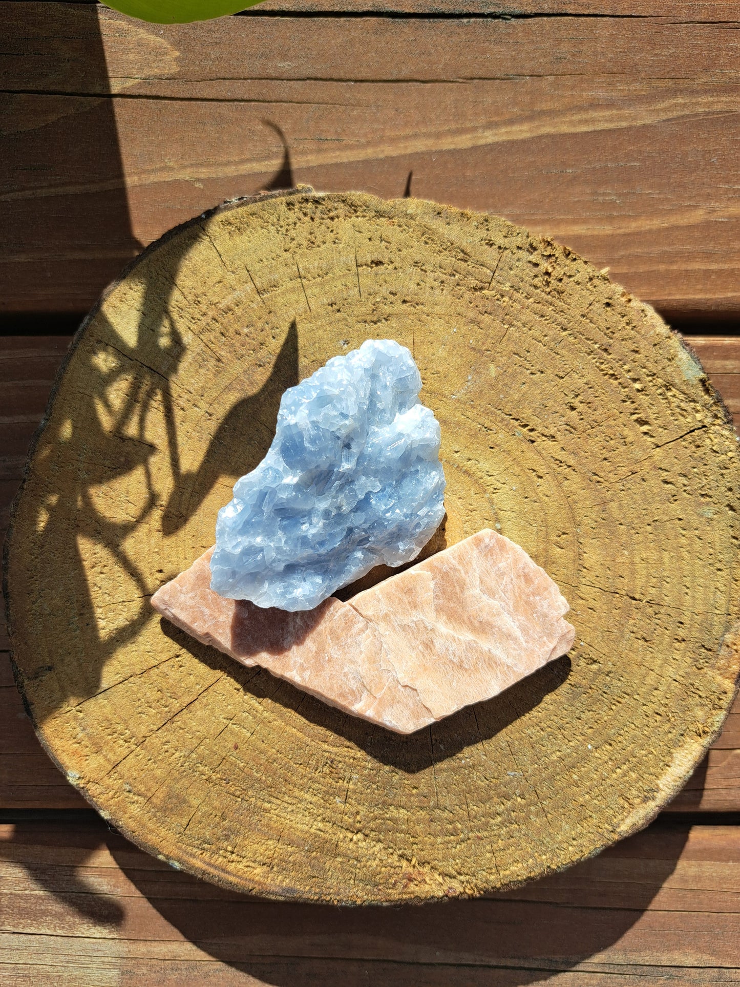 Medium Raw bundle