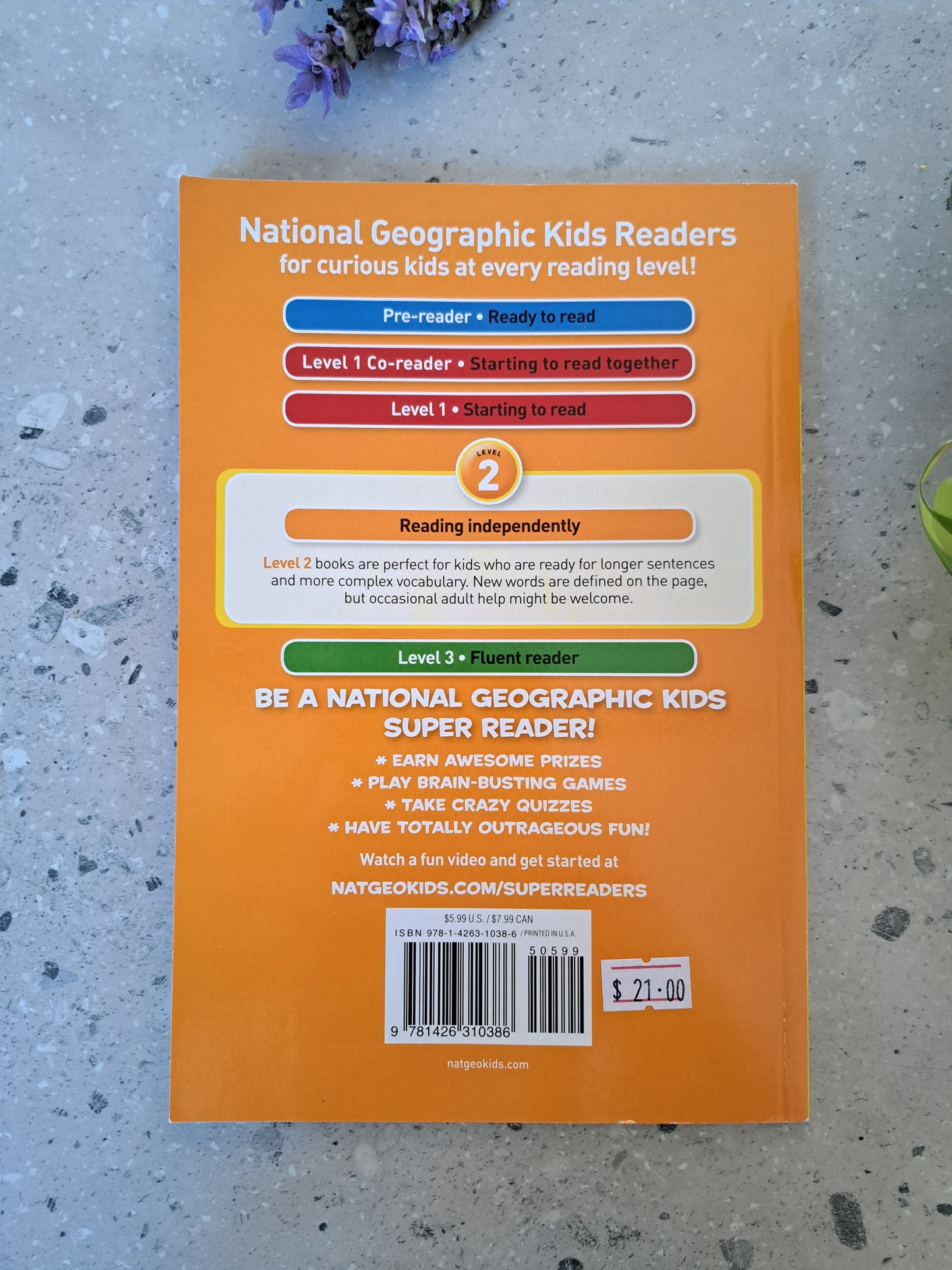 Rocks and Minerals Book