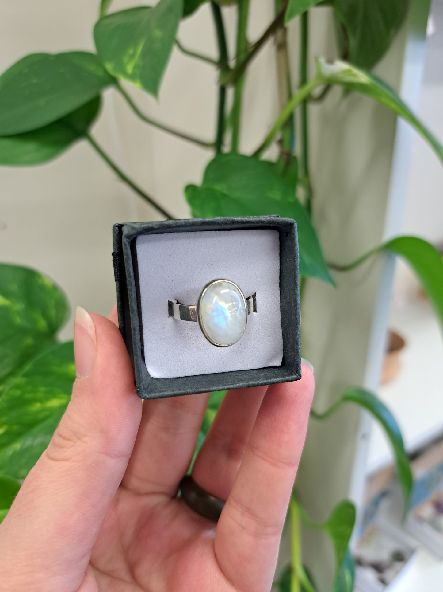 Moonstone Silver Ring