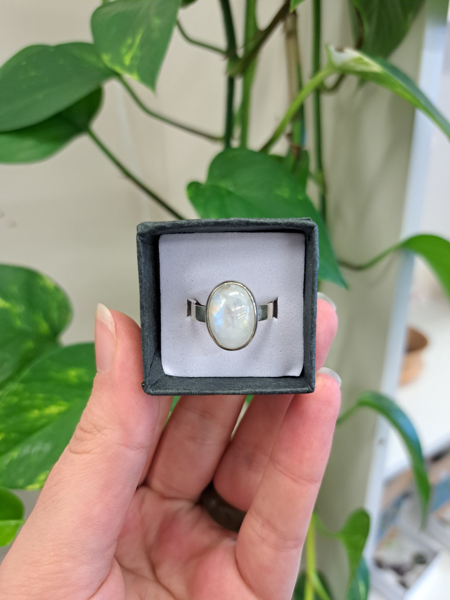 Moonstone Silver Ring