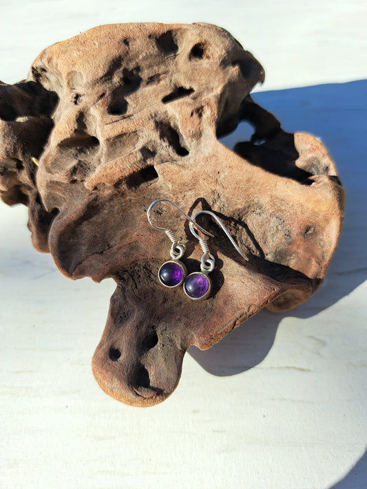 Amethyst Earrings