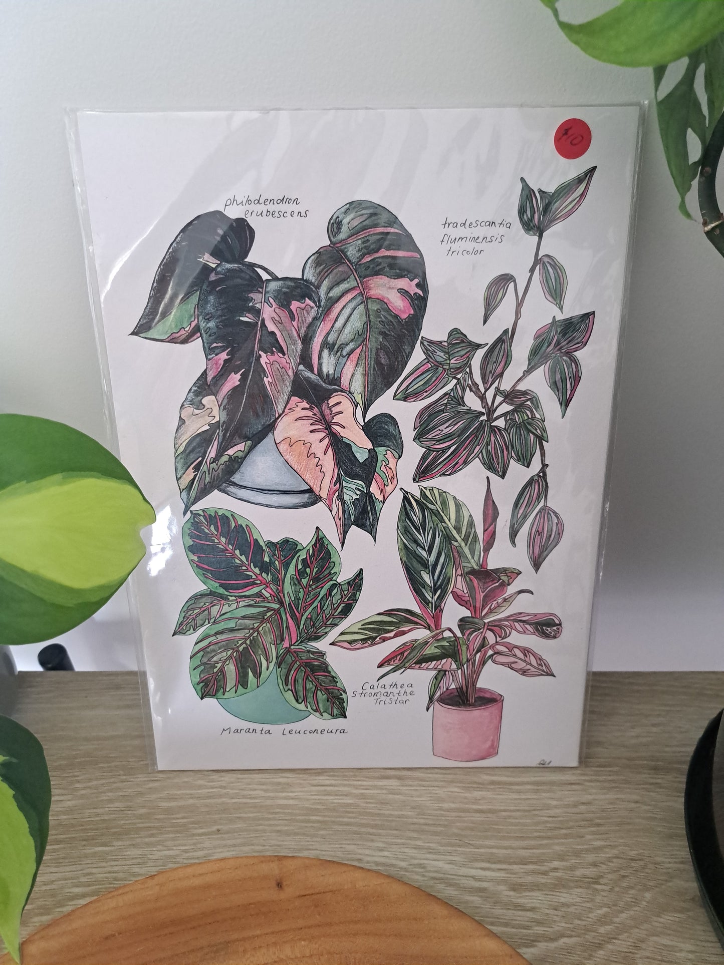 Plant Print