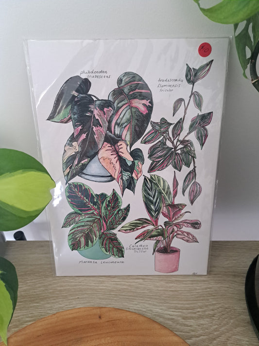 Plant Print