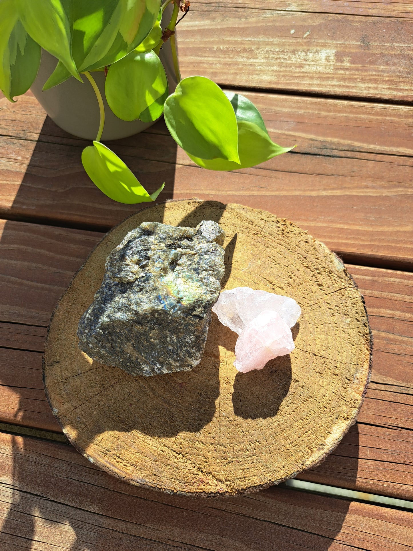 Medium Raw bundle